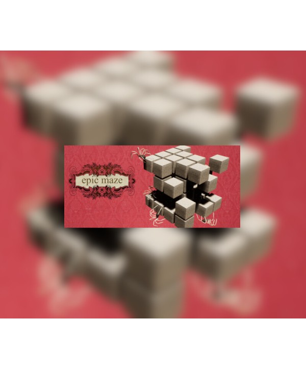 epic maze Steam Key GLOBAL